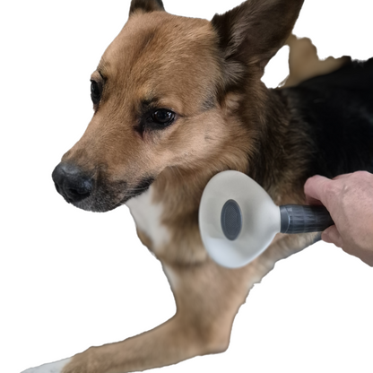 Pflegende Massage Hunde Fellbürste