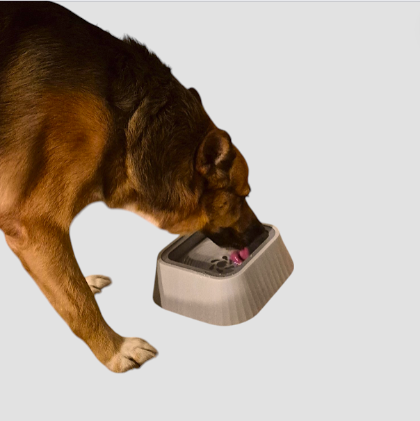 Die Perfekte Hunde Trinkschale