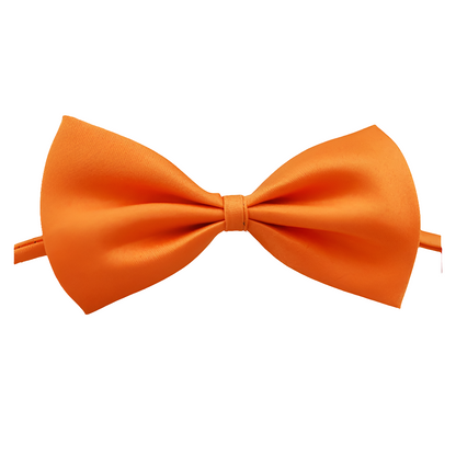 Hunde Schleife/Fliege