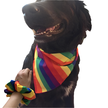 Bandana ,Halstuch für Deinen Hund