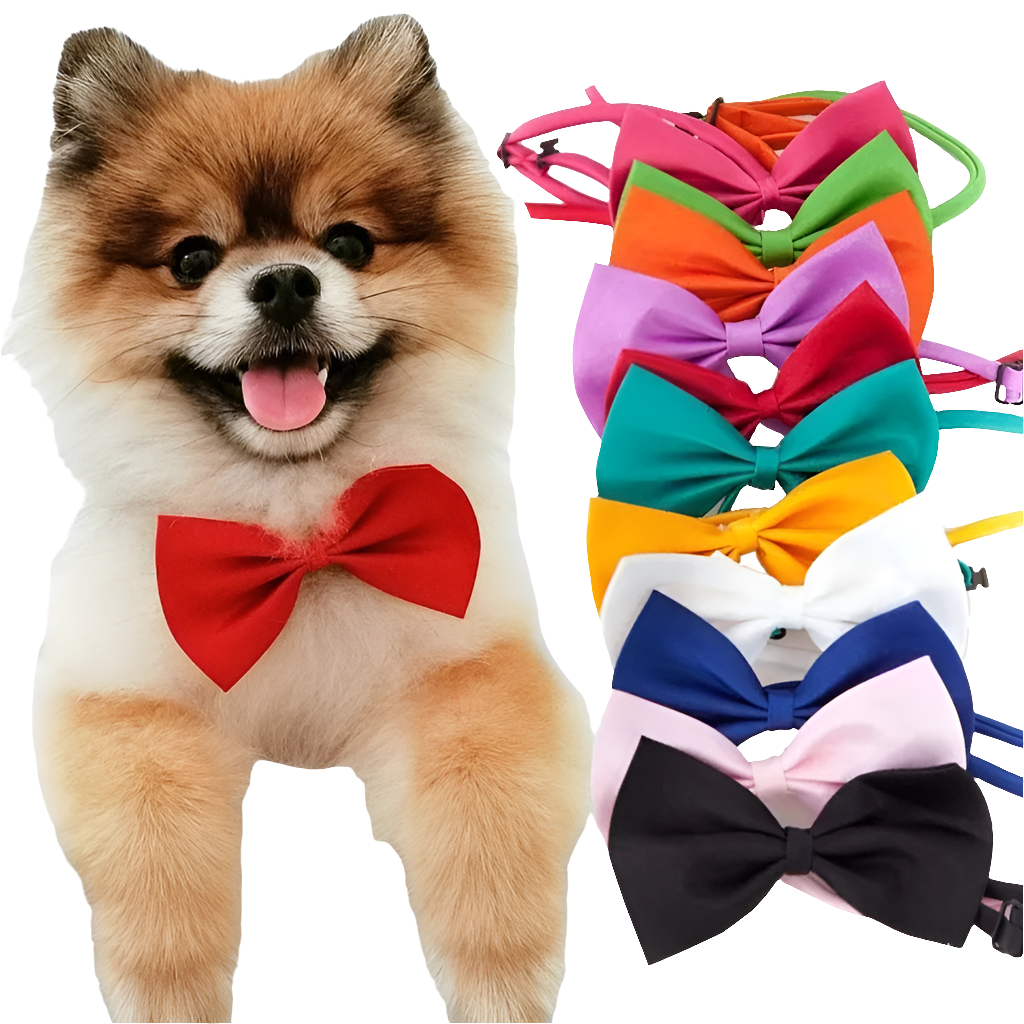 Hunde Schleife/Fliege